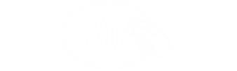 NFC contactless